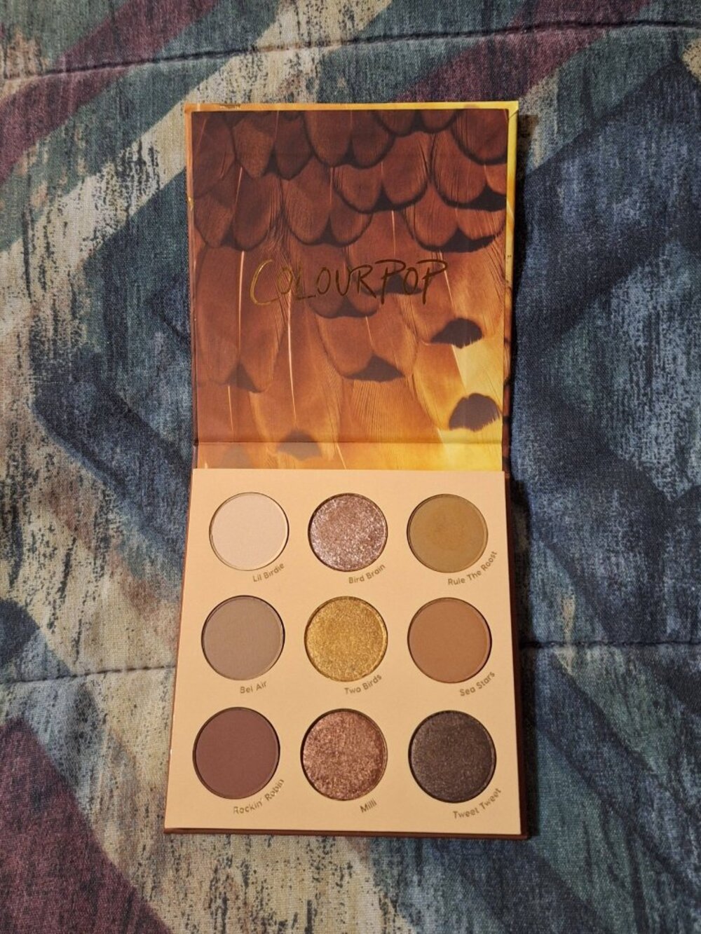 Colourpop Night Owl Eyeshadow Palette – Warm Neutral Gold – Lightly Swatched